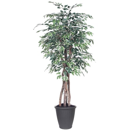 Dare2Decor 6 ft. Variegated Ficus Executive Round Grey Decorative Plant, Green & White DA3255084